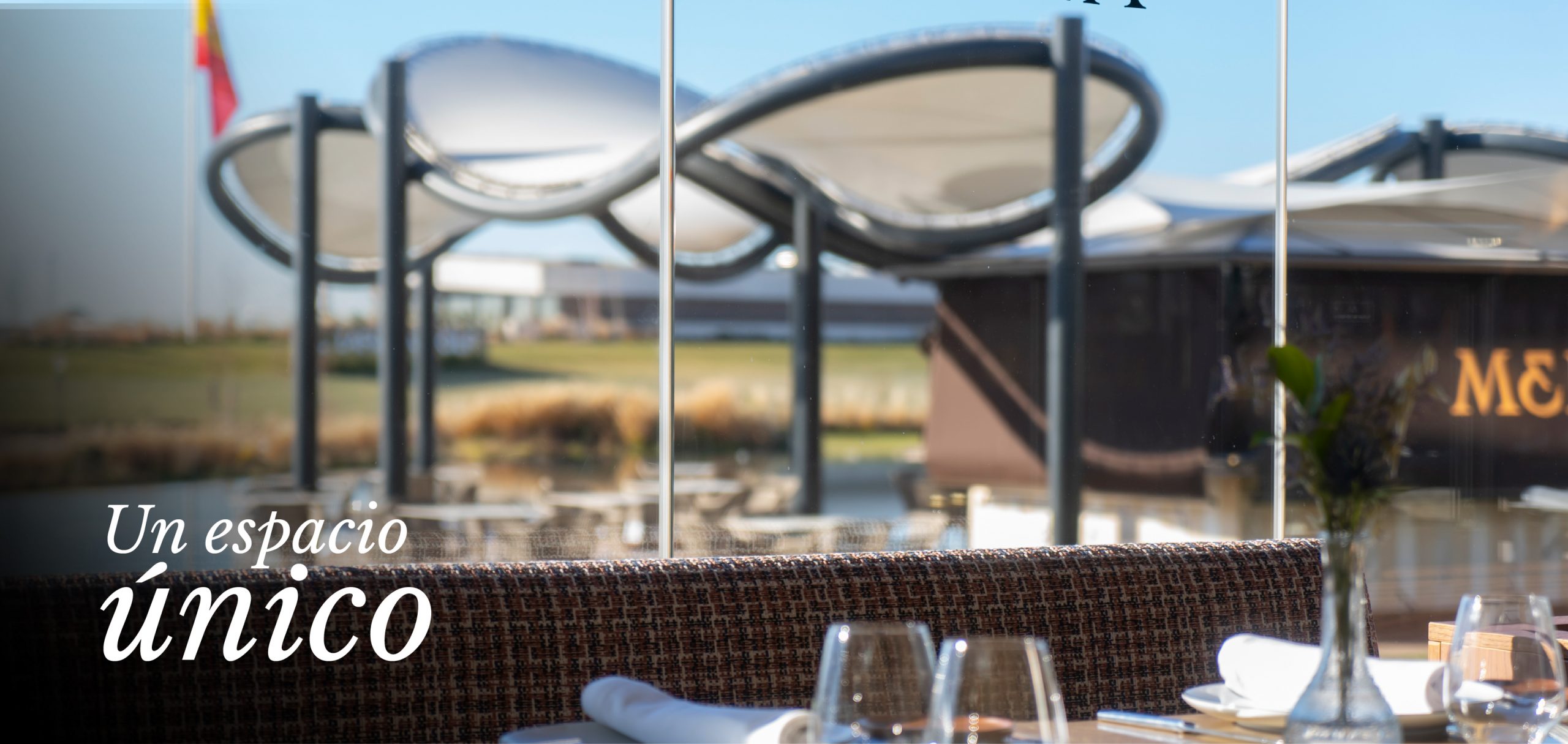 header_Mesa de trabajo 1 copia 2